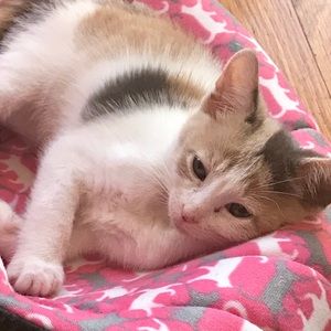 Meet your Posher, Tania